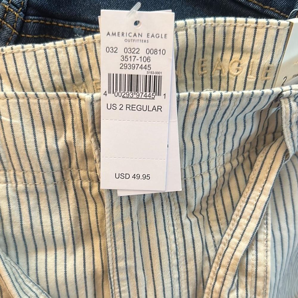 American Eagle Outfitters Blue and Cream Striped Pants